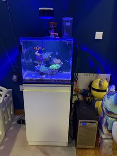 (Category: ) located in . Submitted by 88kris (Listing ID 1446543159, Image 1). Description: .