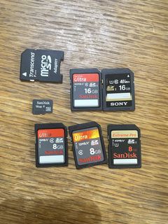 SanDisk 256GB SSD + Multiple Memory Cards508278030604718080