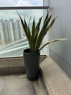 （分類：）位於 。 由 zenriver_758610 提交（商品編號 1446568955，圖片 1）。簡介： 。