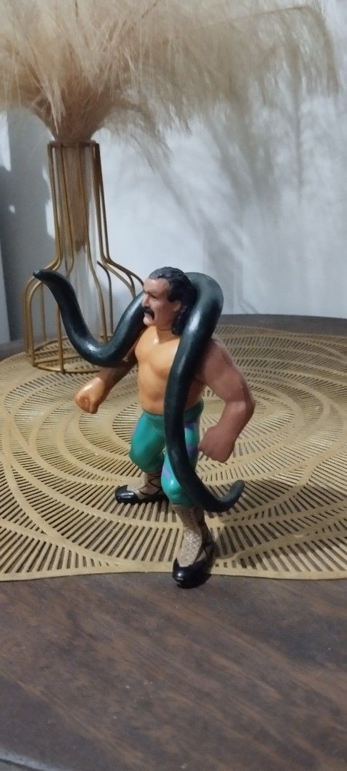 1991 Hasbro WWF Jake The Snake Roberts (Category: Action & Battle Toys) located in Manila. Submitted by ventajetoyz625 (Listing ID 1441722762, Image 2). Description: - Vintage Jake 'The Snake' Roberts wrestling figure - Hasbro version from the WWF era - Includes customized signature snake accessory (resin material) - Perfect for wrestling collectors and memorabilia enthusiasts - "Gimmick" not working.