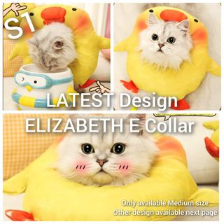 (Category: ) located in . Submitted by petstyle888 (Listing ID 1441644127, Image 1). Description: .