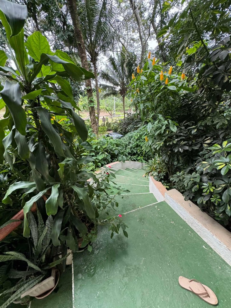 (Category: ) located in . Submitted by jp.summer (Listing ID 1441649585, Image 1). Description: .