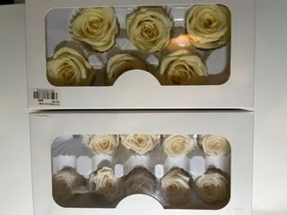 （分類：）位於 。 由 heyfika41 提交（商品編號 1441649291，圖片 1）。簡介： 。