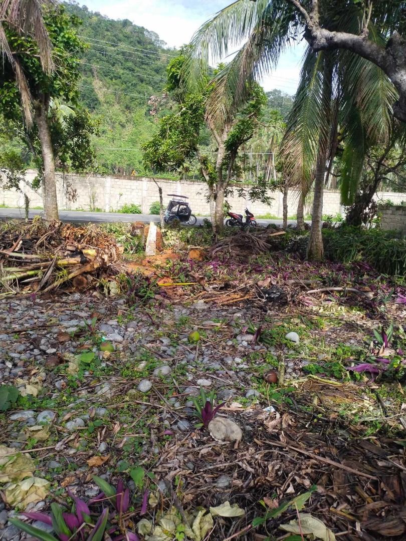 Beachfront Lot for Sale (Category: Lot) located in Adams. Submitted by zachairo (Listing ID 1441591745, Image 3). Description: 🌊 BEACHFRONT LOT FOR SALE – GREAT INVESTMENT OPPORTUNITY! 🌊 Imagine owning a piece of paradise just steps away from the beach! ✅ Location: Gupa, Dipaculao, Aurora ✅ Lot Area: 389 square meters ✅ Clean Solo Title ✅ Approximately 50 meters from the shoreline ✅ Located along the National Road – easy access and excellent vi