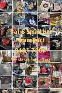 (Category: ) located in . Submitted by blackblackcat (Listing ID 1387671039, Image 1). Description: .