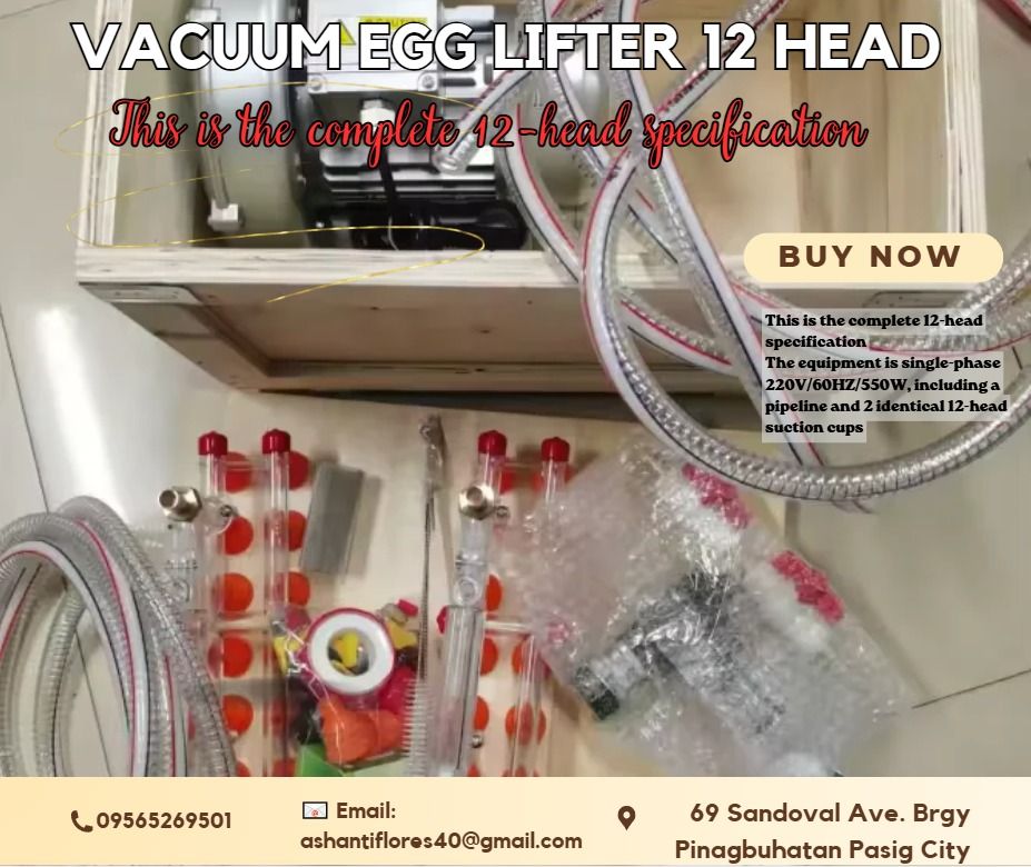 For Sale Vacuum egg lifter 12 head (Category: Home Improvement Tools & Accessories) located in Pasig City. Submitted by akiramckency (Listing ID 1441688596, Image 1). Description: 🌏 WE DELIVER NATIONWIDE🌏 👉 FOR ORDER 👉 Send Us message Bellow👇 👇 👇 ✨ Terms Of Payment: ✨ 50% Downpayment and ✨ 50% Upon pick up / Deliver 📍 LOCATED IN PASIG CITY.