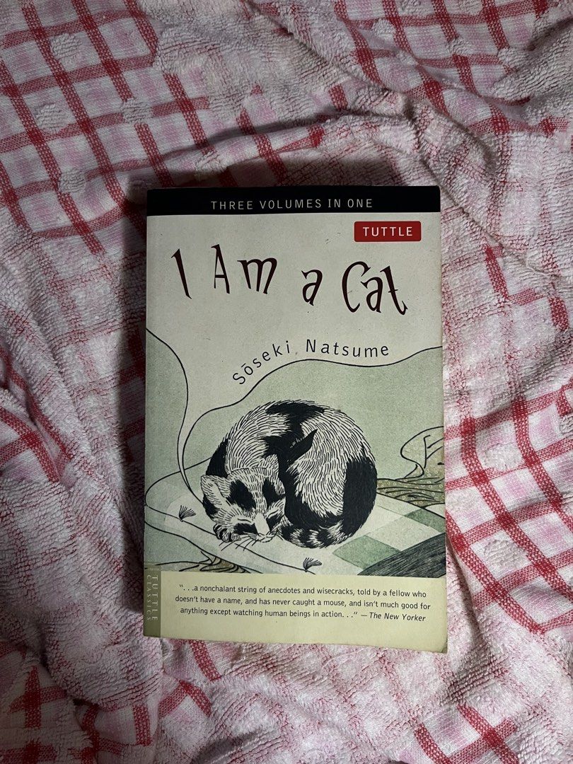 I Am a Cat Book (Category: Storybooks) located in Las Pinas. Submitted by yzzalouis (Listing ID 1441588559, Image 1). Description: 💳 Mode of Payment: 🤎COD (if meet up) 💙GCash 💚GoTyme 🛵Mode of Delivery: Standard - J&T Express Same Day - Lalamove.