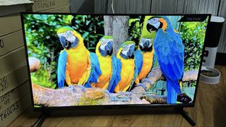 (Category: ) located in . Submitted by muazimstores (Listing ID 1441763732, Image 1). Description: .
