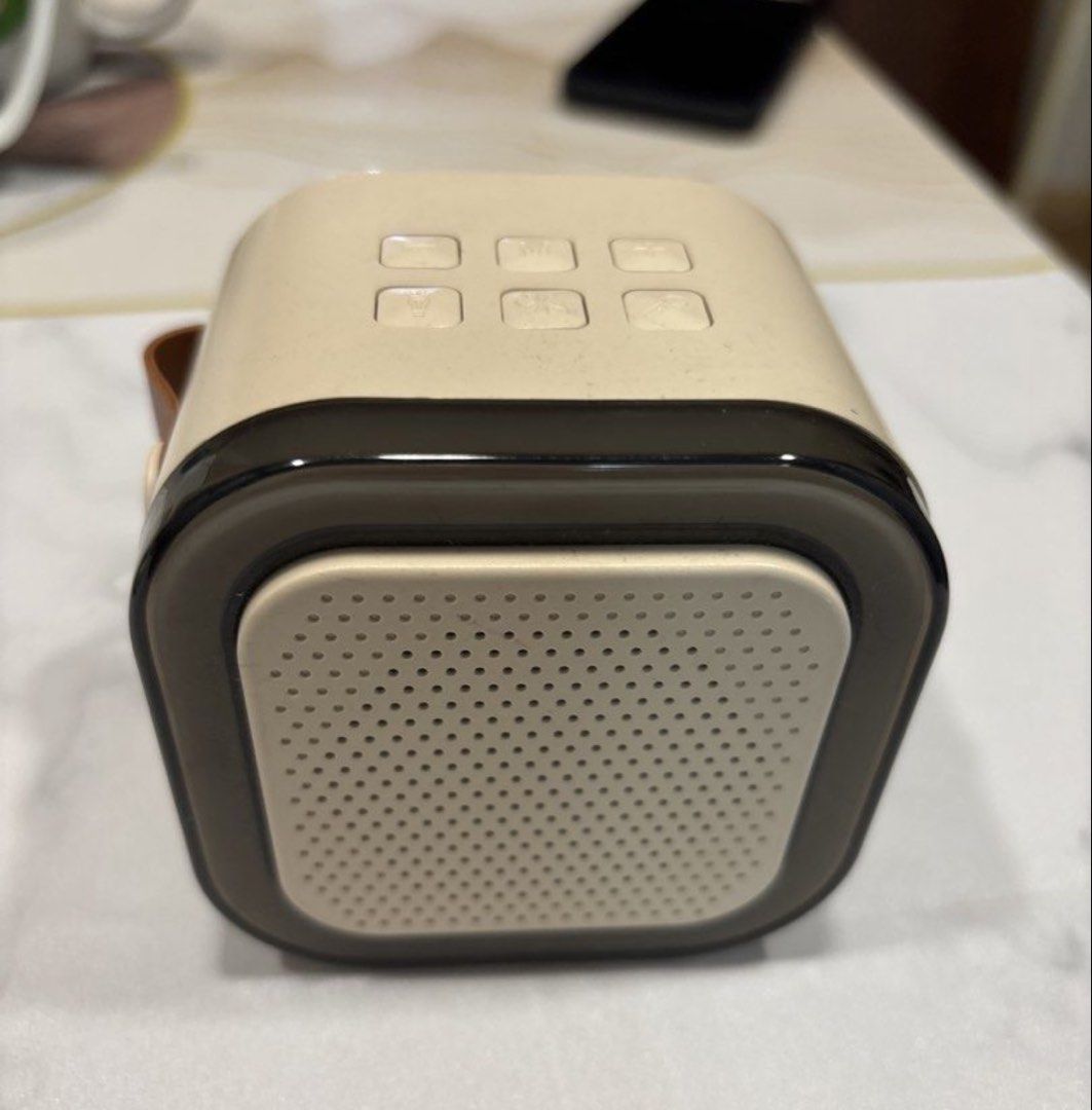 K12 Portable Bluetooth Speaker with 2 Wireless Microphones