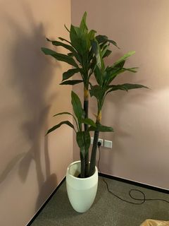 （分類：）位於 。 由 jonathanvanleersum 提交（商品編號 1441602501，圖片 1）。簡介： 。