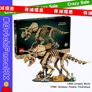 ❤️‍🔥 LEGO 熱賣貨品 Collection item 3