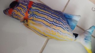 (Kategori: ) berada di . Dikirim oleh prevoledryu (ID iklan 1441591114, Gambar 1). Deskripsi: .