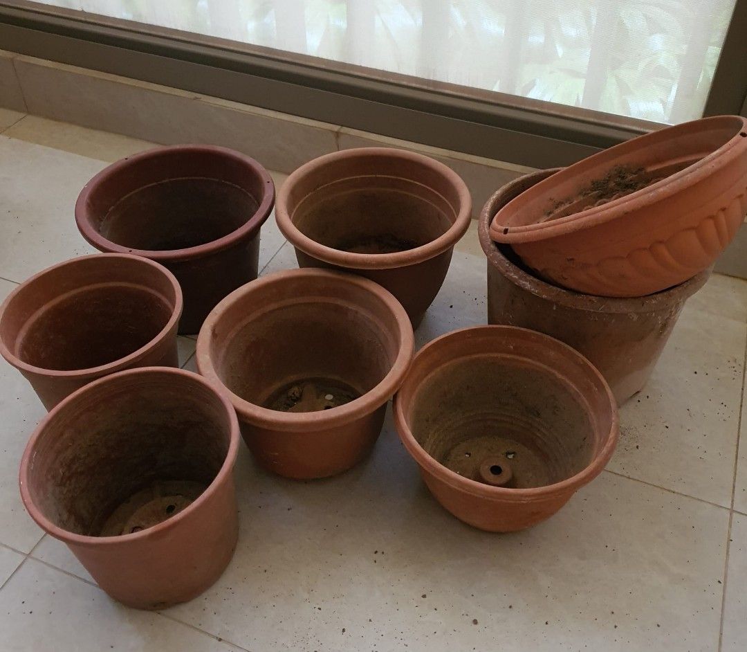 Plant Pots (Category: Pots & Planters) located in Singapore. Submitted by wmp123 (Listing ID 1441613749, Image 1). Description: $2 per pot. Take all for $13.