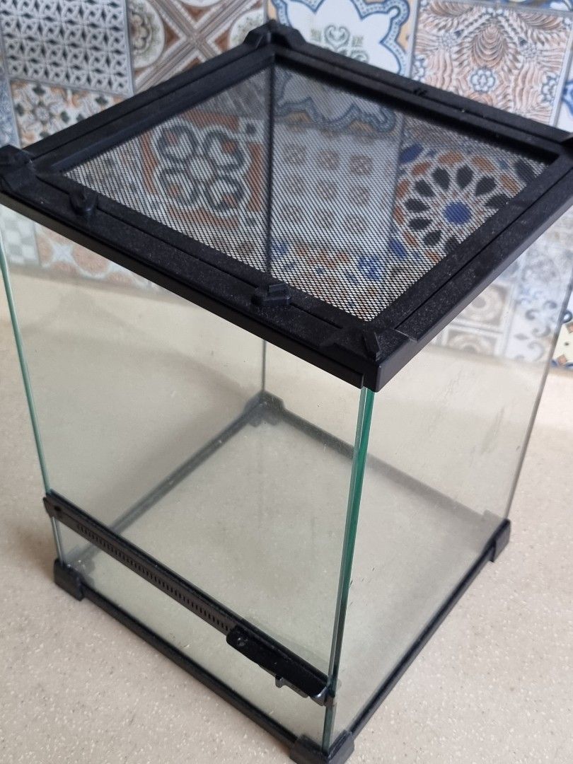 [RepriZoo] 25x25xH35cm Mini Reptile Glass Terrarium / Paludarium Tank for Crab, Reptile, Insects and plants (Category: Homes & Other Pet Accessories) located in Singapore. Submitted by petstyle888 (Listing ID 1441667481, Image 2). Description: Specifications Dimensions: 25 x 25 x 35cm Base height (till door) : 10cm Height of Water : 6cm Self collect at 175 Ang mo kio ave 4 by appointment only Delivery fee available from $20++ onward depending of 