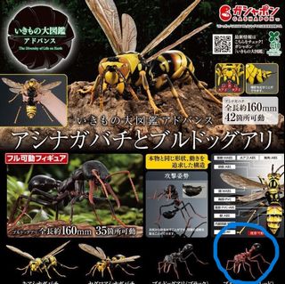 （分類：）位於 。 由 unlimitedtoy 提交（商品編號 1446892716，圖片 1）。簡介： 。