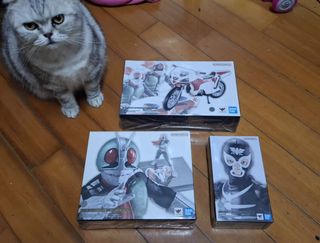 （分類：）位於 。 由 sell-in-set 提交（商品編號 1446848460，圖片 1）。簡介： 。