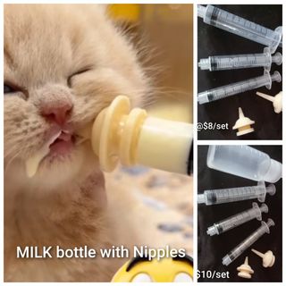 (Category: ) located in . Submitted by petstyle888 (Listing ID 1446756125, Image 1). Description: .