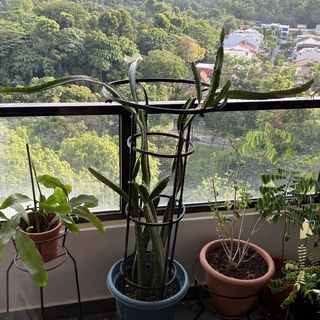 (Category: ) located in . Submitted by wolg18 (Listing ID 1445528875, Image 1). Description: .