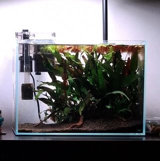 (Category: ) located in . Submitted by v3gqt (Listing ID 1446761827, Image 1). Description: .