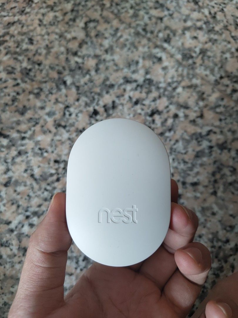 Google Nest497037325527296002