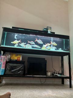 (Category: ) located in . Submitted by aimanhamid55163 (Listing ID 1446842119, Image 1). Description: .