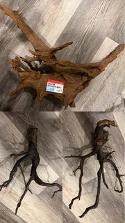 (Category: ) located in . Submitted by fundmybobatea (Listing ID 1446805148, Image 1). Description: .
