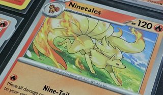 Pokedex Collection item 1