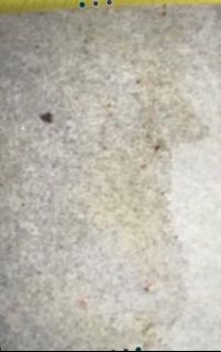(Category: ) located in . Submitted by carouselkinger (Listing ID 1446803197, Image 1). Description: .