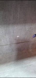 (Category: ) located in . Submitted by sivagamy10 (Listing ID 1441899642, Image 1). Description: .