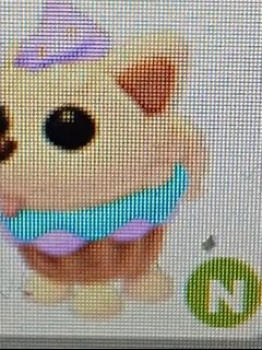 (Category: ) located in . Submitted by mysticcat.4e119d (Listing ID 1441892008, Image 1). Description: .
