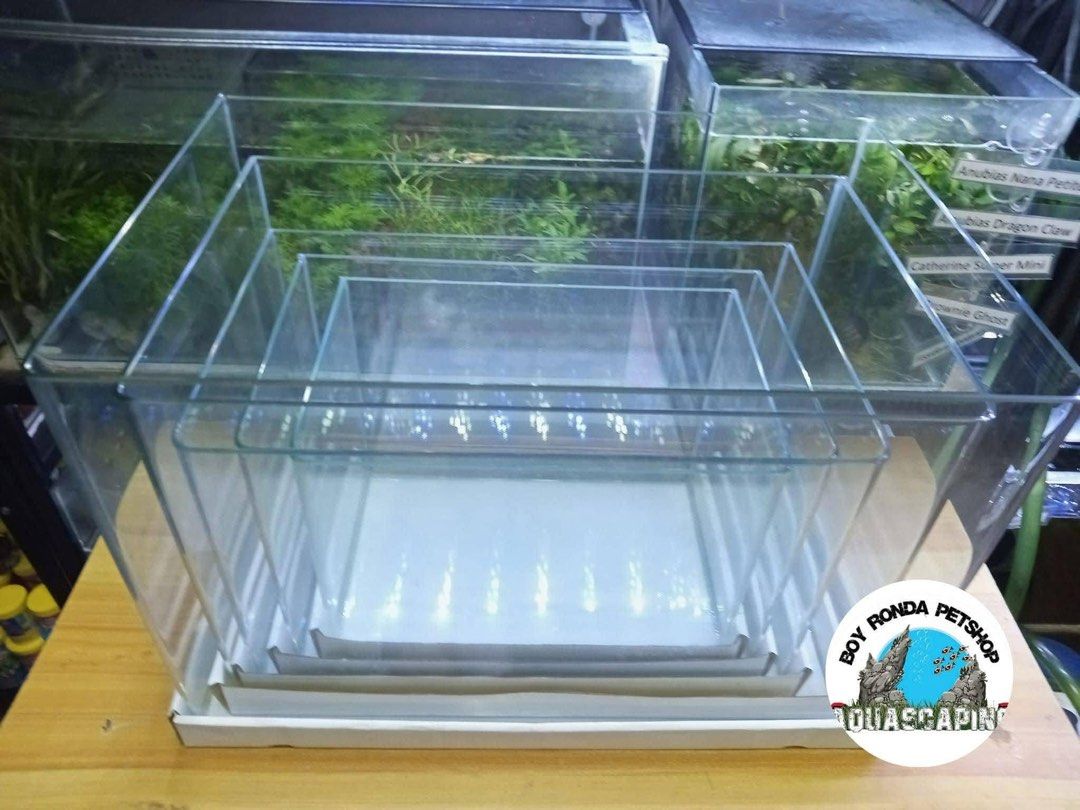 Aquarium Tank 15 Gal (Category: Homes & Other Pet Accessories) located in Caloocan City. Submitted by Limsoc (Listing ID 1441952250, Image 2). Description: Has algae on glass 50cm x 32cm x 34cm Bought for P2,200.