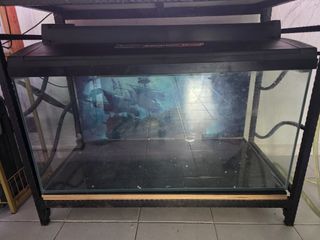 (Category: ) located in . Submitted by Queeen07 (Listing ID 1441842975, Image 1). Description: .