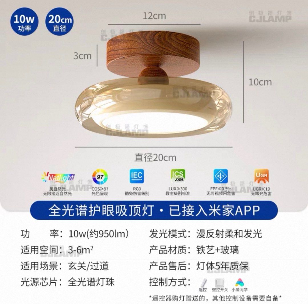 Ceiling Light473186455236782080