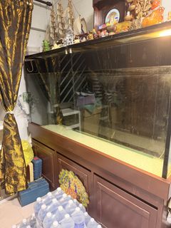 (Category: ) located in . Submitted by shaalinni (Listing ID 1441901815, Image 1). Description: .