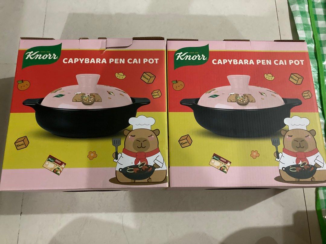 Knorr Capybara Pen Cai Pot473423549490145280