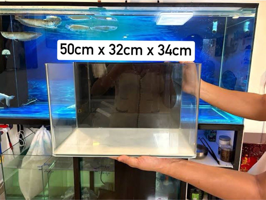 Aquarium Tank 15 Gal (Category: Homes & Other Pet Accessories) located in Caloocan City. Submitted by Limsoc (Listing ID 1441952250, Image 1). Description: Has algae on glass 50cm x 32cm x 34cm Bought for P2,200.
