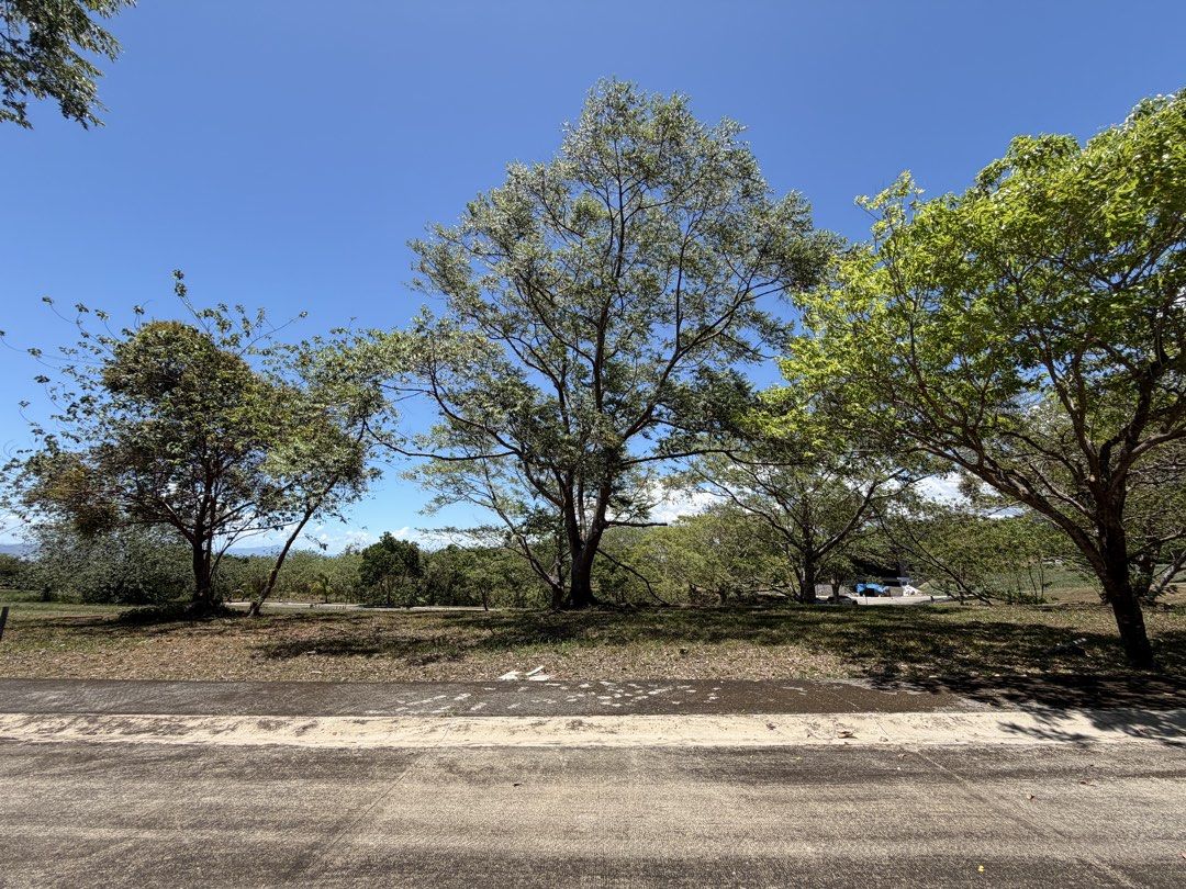 AYALA GREENFIELD ESTATES - Vacant Lot (Category: Lot) located in Quezon City. Submitted by jgp24 (Listing ID 1441976185, Image 3). Description: LOT FOR SALE 📍Ayala Greenfield Estates Lot only Located at Phase 8A (The Panoramas) • Regular shape • Flat terrain (easy to build) • Facing West • With horizon view of Laguna de bay and Mt. Makiling 464 sqm 40k/sqm Gross price: P18,560,000.00 PRICE IS STILL NEGOTIABLE Inclusive of CGT Clean title Comes w