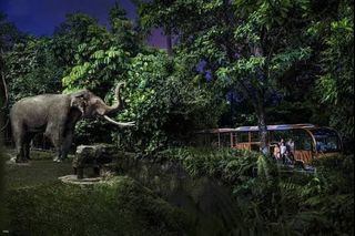 (Category: ) located in . Submitted by prehistoricdinosaur (Listing ID 1442028744, Image 1). Description: .