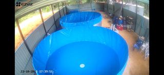 (Category: ) located in . Submitted by shaiful_ridwan6575 (Listing ID 1442182027, Image 1). Description: .