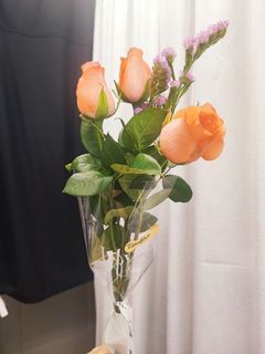 （分類：）位於 。 由 livingideas11 提交（商品編號 1442247033，圖片 1）。簡介： 。