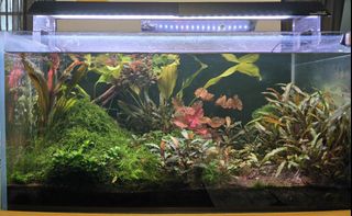 (Category: ) located in . Submitted by craftydp (Listing ID 1442260943, Image 1). Description: .