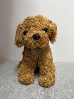 （分類：）位於 。 由 luz19 提交（商品編號 1442268193，圖片 1）。簡介： 。