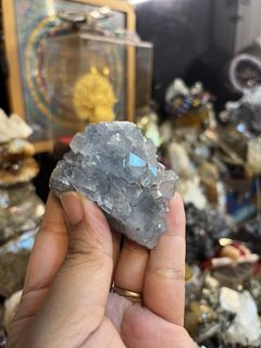 （分類：）位於 。 由 Nemdid134 提交（商品編號 1442319631，圖片 1）。簡介： 。
