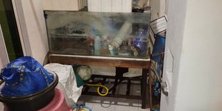 (Category: ) located in . Submitted by wanujung_90 (Listing ID 1442247267, Image 1). Description: .