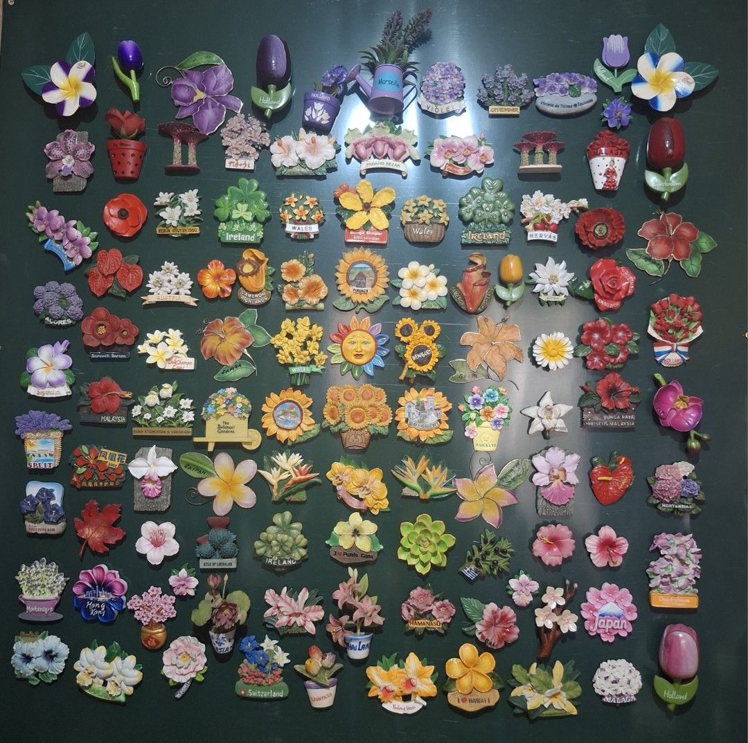 Assorted Flower Magnets - Various Designs (Category: Flowers & Bouquets) located in Taytay. Submitted by armyborahe21 (Listing ID 1442174958, Image 1). Description: - Add a touch of nature to your home with these charming flower magnets. - Features a variety of floral designs, including single blooms and potted arrangements. - Available in a range of vibrant colors to match any decor. - Ideal for decorating refrigerators, whiteboards, or any magn