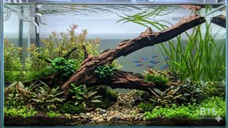 (Category: ) located in . Submitted by elmohi5 (Listing ID 1442262037, Image 1). Description: .
