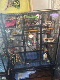 (Category: ) located in . Submitted by hannahhhhhhhhhhhhhhhh (Listing ID 1442259671, Image 1). Description: .