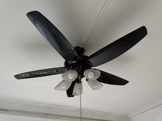 (Category: ) located in . Submitted by iamjucifer (Listing ID 1442331660, Image 1). Description: .