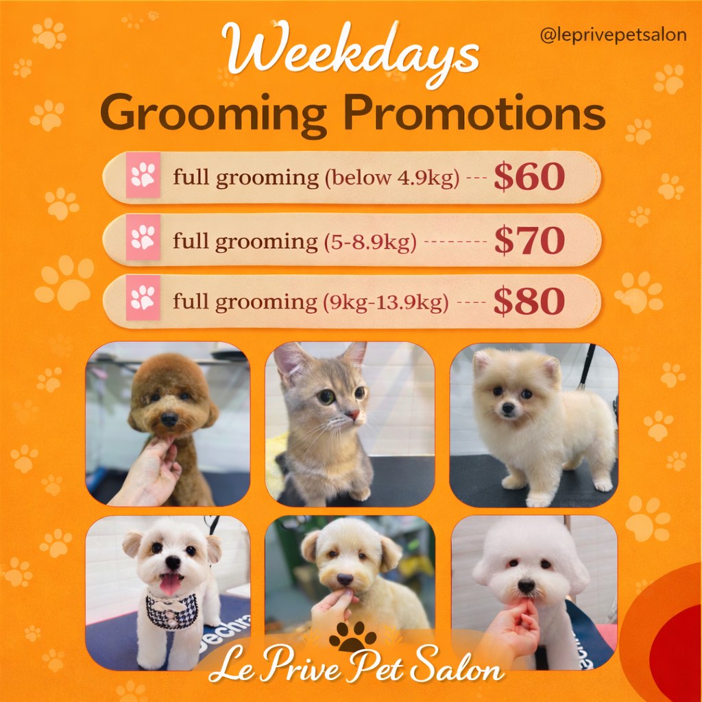 (Category: ) located in . Submitted by petlovergroomer (Listing ID 1138747707, Image 1). Description: .