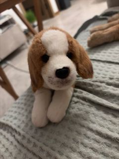 （分類：）位於 。 由 leungedi 提交（商品編號 1442316199，圖片 1）。簡介： 。